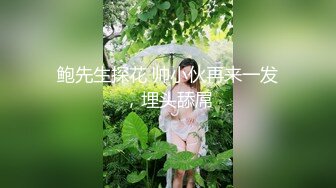 鲍先生探花 帅小伙再来一发，埋头舔屌