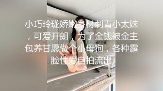 小巧玲珑娇嫩身材刺青小太妹，可爱开朗，为了金钱被金主包养甘愿做个小母狗，各种露脸性爱自拍流出