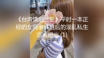 《台湾情侣泄密》平时一本正经的女同事下班后的淫乱私生活被曝光 (1)