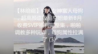 【林绾绾】穷人女神富人母狗，超高颜值极品空姐最新8月收费SVIP福利完整集，啪啪调教多种玩弄，母狗属性拉满了 (3)