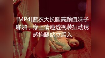 [MP4]蓝衣大长腿高颜值妹子啪啪，穿上情趣透视装扭动诱惑抬腿站立后入