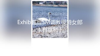 Exhib露脸SM调教模特女郎（有福利）