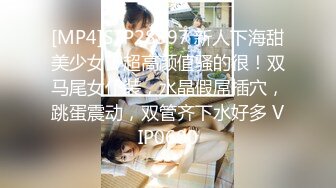 [MP4]STP28597 新人下海甜美少女！超高颜值骚的很！双马尾女仆装，水晶假屌插穴，跳蛋震动，双管齐下水好多 VIP0600