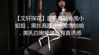 【文轩探花】苗条高端外围小姐姐，黑丝高跟沙发激情啪啪，美乳白嫩蜂腰翘臀真诱惑