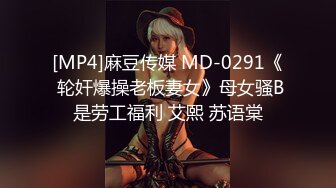 [MP4]麻豆传媒 MD-0291《 轮奸爆操老板妻女》母女骚B是劳工福利 艾熙 苏语棠