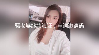 骚老婆继续验证，申请邀请码