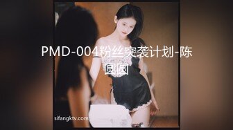 PMD-004粉丝突袭计划-陈圆圆