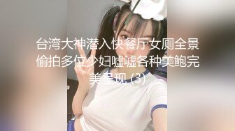 台湾大神潜入快餐厅女厕全景偷拍多位少妇嘘嘘各种美鲍完美呈现 (3)