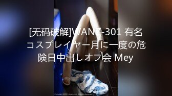 [无码破解]WANZ-301 有名コスプレイヤー月に一度の危険日中出しオフ会 Mey