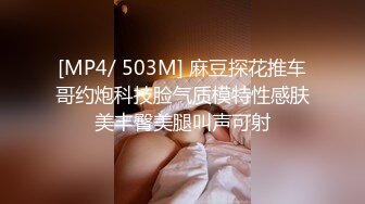 [MP4/ 503M] 麻豆探花推车哥约炮科技脸气质模特性感肤美丰臀美腿叫声可射