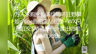 万人求购推特满纹阴环狂野御姐chloe自拍淫乱视图+WX门槛肛交SM调教户外露出啪啪绝对火爆