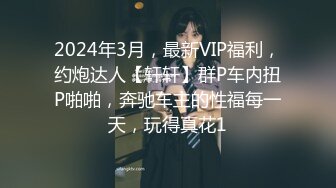 2024年3月，最新VIP福利，约炮达人【轩轩】群P车内扭P啪啪，奔驰车主的性福每一天，玩得真花1