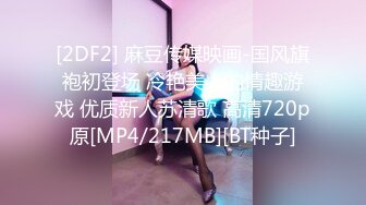 [2DF2] 麻豆传媒映画-国风旗袍初登场 冷艳美人的情趣游戏 优质新人苏清歌 高清720p原[MP4/217MB][BT种子]