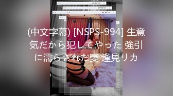 (中文字幕) [NSPS-994] 生意気だから犯してやった 強引に濡らされた妻 逢見リカ